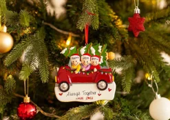 Christmas The Original Tornando A Casa Con L'Albero In 3